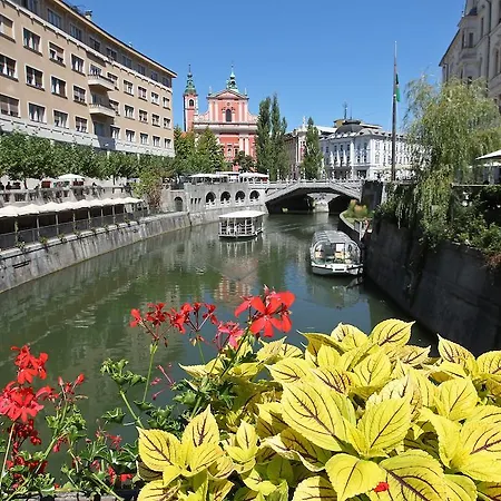 Lill's Center * Ljubljana